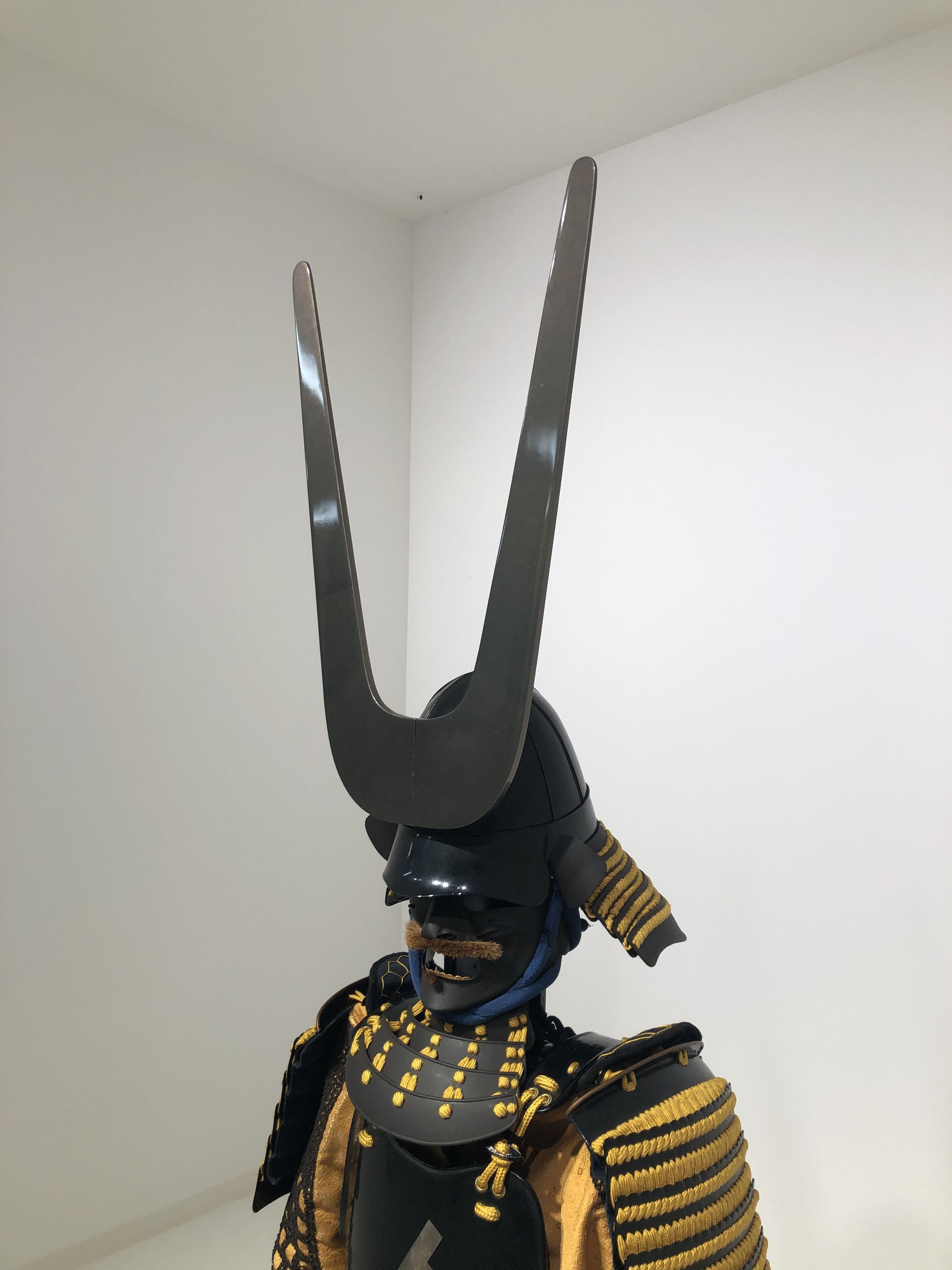 【Y-001】真田昌幸