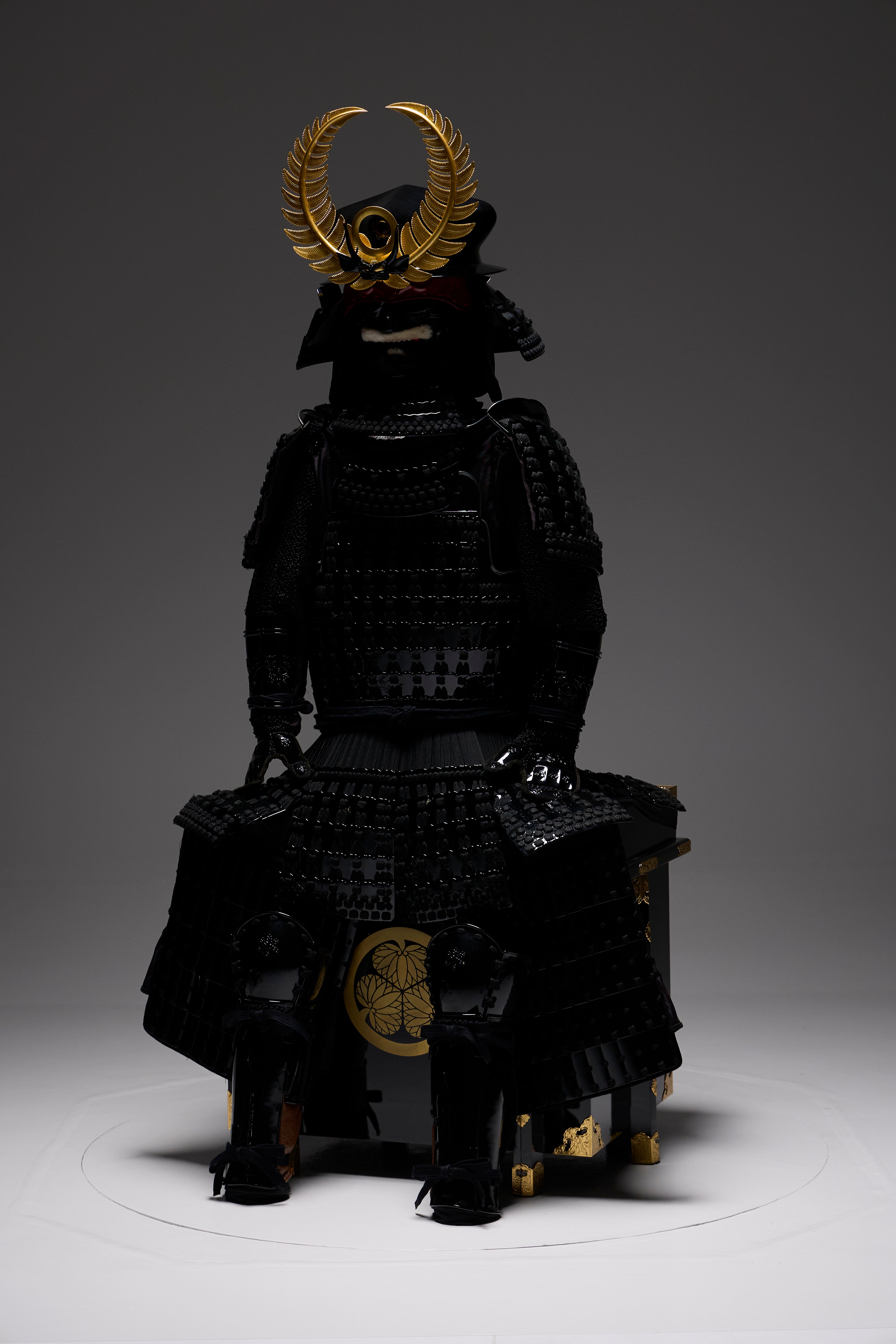 [Y-028] Tokugawa Ieyasu Daikoku Hood (Pine)