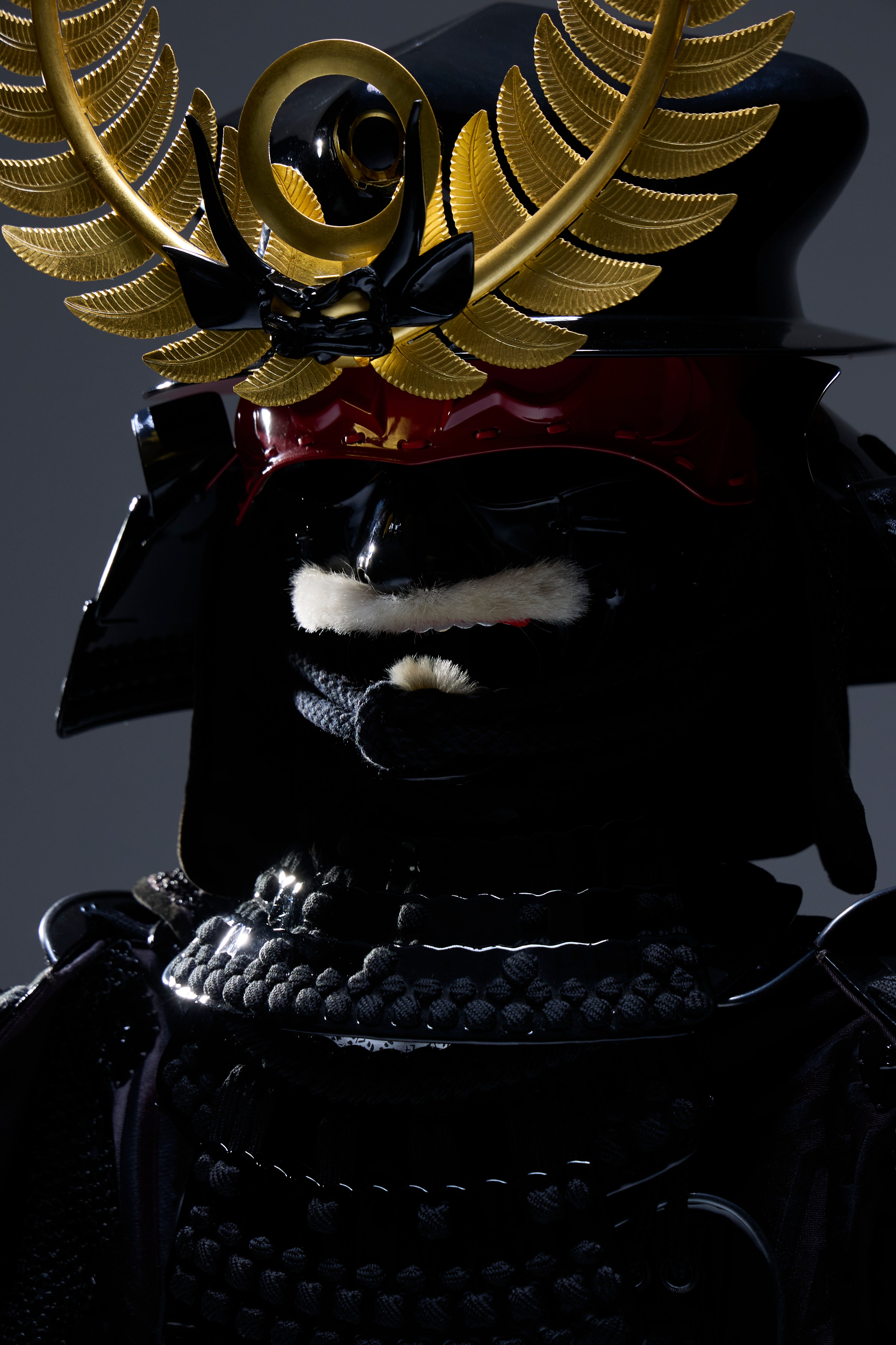 [Y-028] Tokugawa Ieyasu Daikoku Hood (Pine)