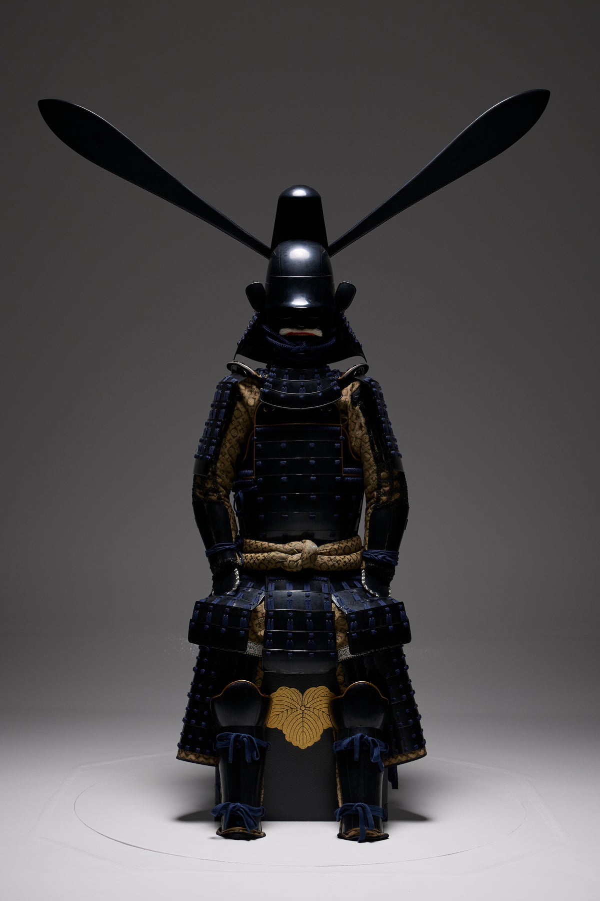 【Y-029】藤堂高虎  | 展示販売
